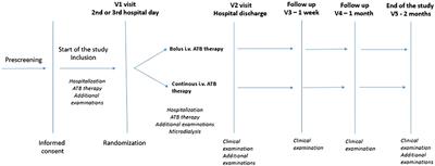 Does PAD and microcirculation status impact the tissue availability of intravenously administered antibiotics in patients with infected diabetic foot? Results of the DFIATIM substudy